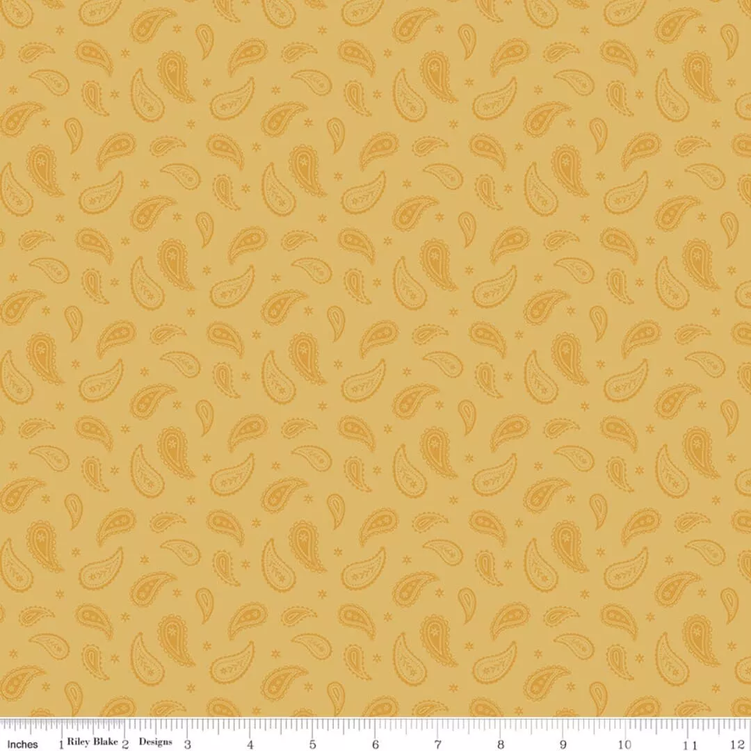 Ally's Garden - Paisley - per yard - by Dani Mogstad for Riley Blake Designs - C13246-Daisy
