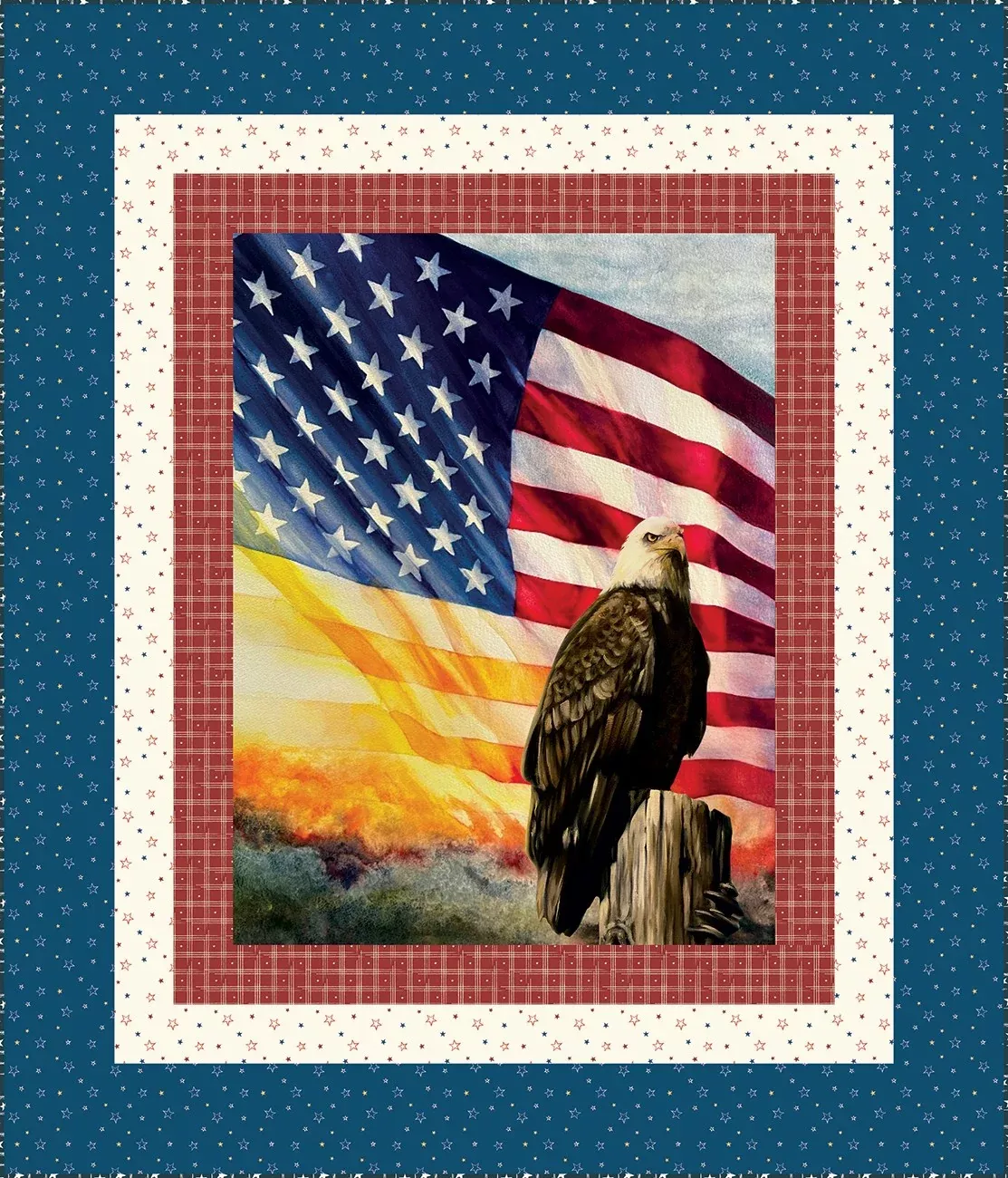 American Honor Panel Quilt Kit By Vicki Gifford | Riley Blake Designs
