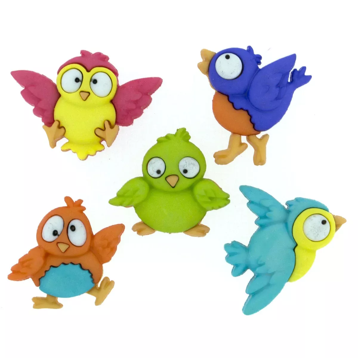 BIRD BRAIN